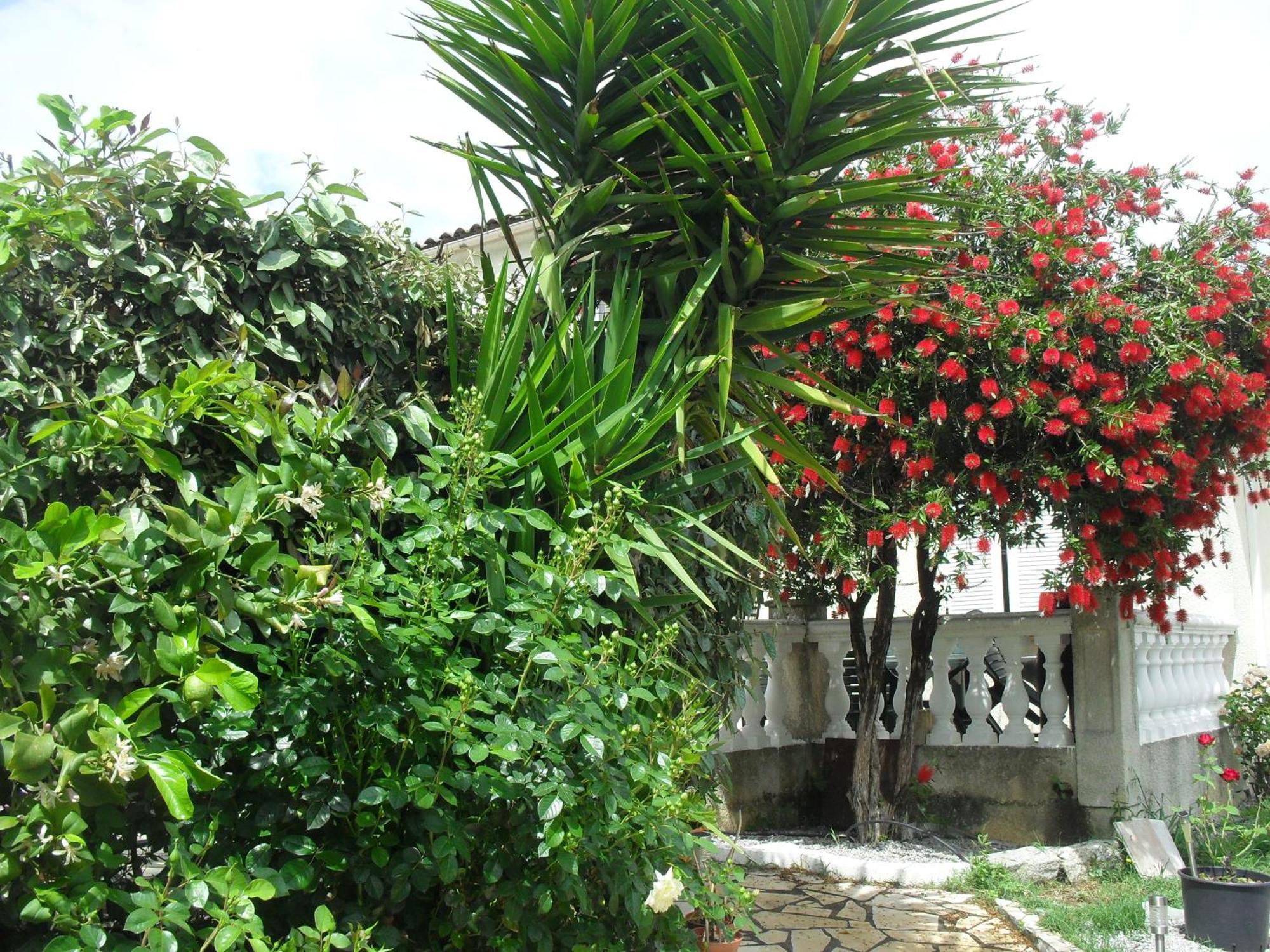 Veronique Bed & Breakfast Appietto Exterior photo